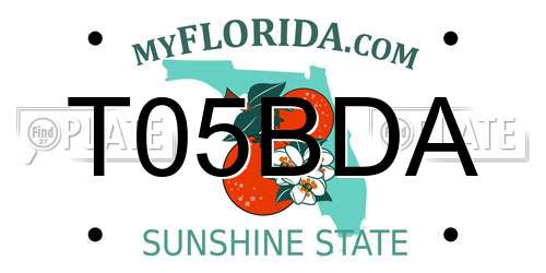 T05BDA Florida License Plate