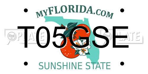 T05GSE Florida License Plate