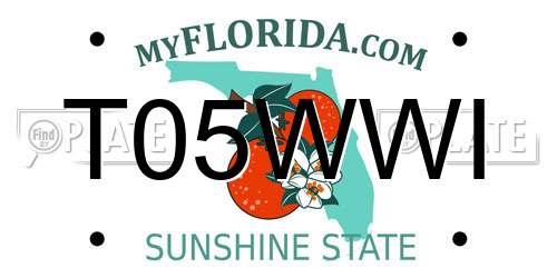 T05WWI Florida License Plate