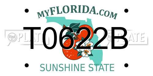 T0622B Florida License Plate