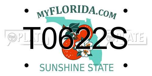 T0622S Florida License Plate