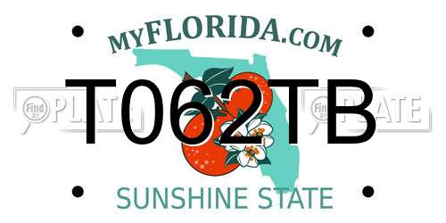 T062TB Florida License Plate