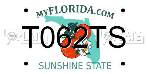 T062TS Florida License Plate