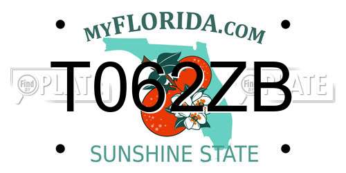 T062ZB Florida License Plate