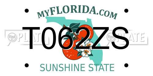 T062ZS Florida License Plate