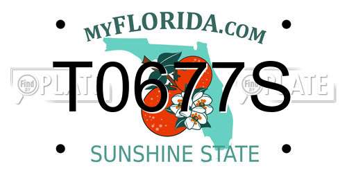 T0677S Florida License Plate