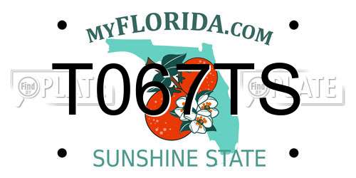 T067TS Florida License Plate