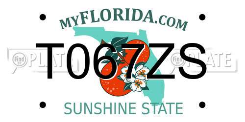 T067ZS Florida License Plate