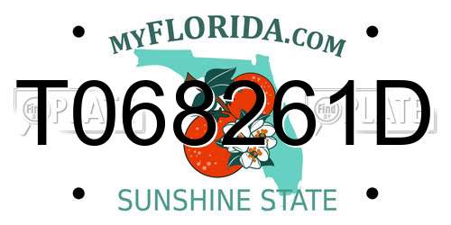 T068261D Florida License Plate