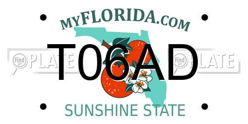 T06AD Florida License Plate