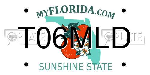 T06MLD Florida License Plate