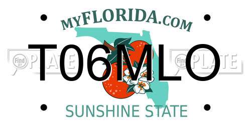 T06MLO Florida License Plate