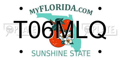 T06MLQ Florida License Plate