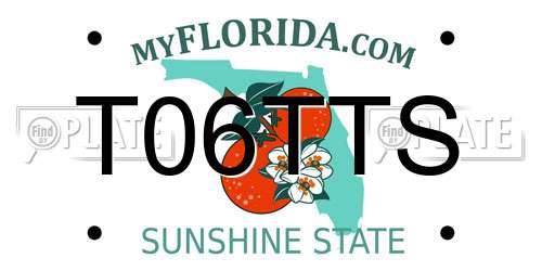 T06TTS Florida License Plate