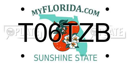 T06TZB Florida License Plate