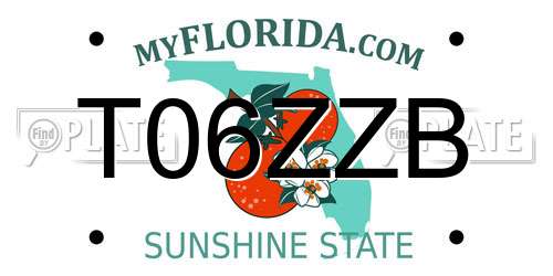 T06ZZB Florida License Plate