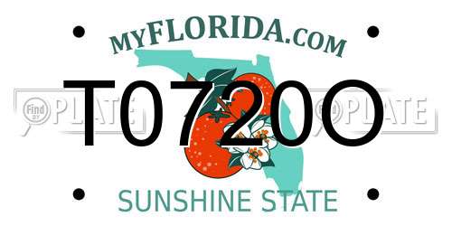 T0720O Florida License Plate