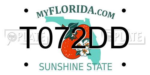 T072DD Florida License Plate