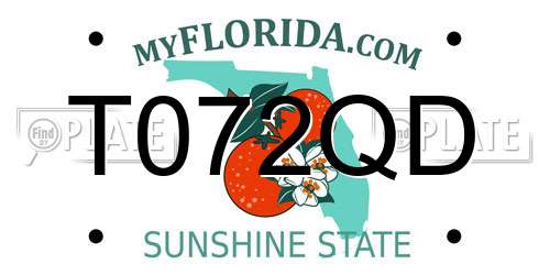 T072QD Florida License Plate