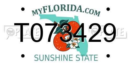 T073429 Florida License Plate