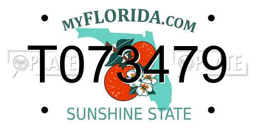 T073479 Florida License Plate