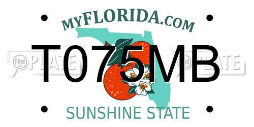 T075MB Florida License Plate
