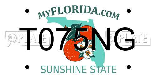 T075NG Florida License Plate
