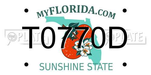 T0770D Florida License Plate