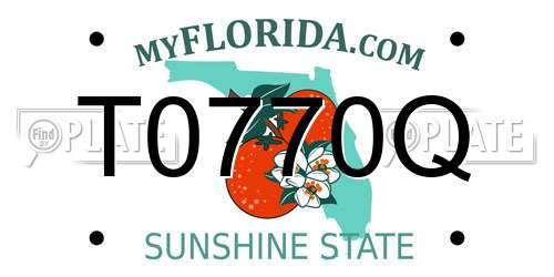 T0770Q Florida License Plate