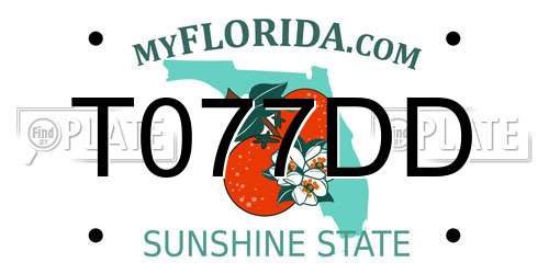 T077DD Florida License Plate