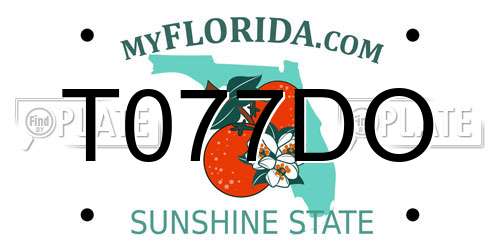 T077DO Florida License Plate