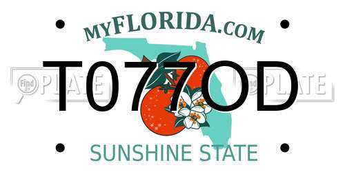 T077OD Florida License Plate