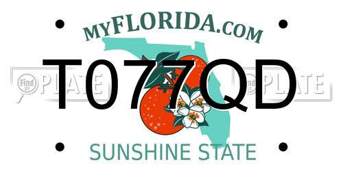 T077QD Florida License Plate