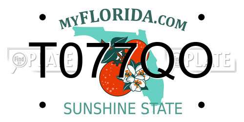 T077QO Florida License Plate