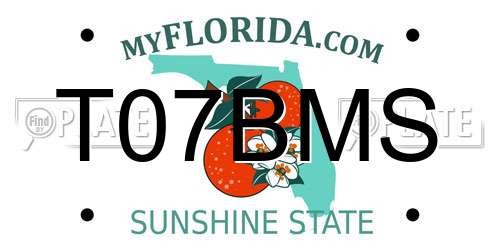 T07BMS Florida License Plate
