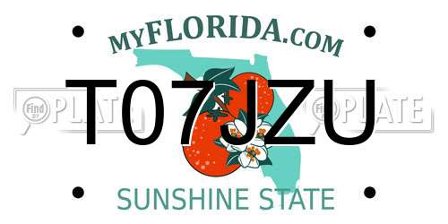 T07JZU Florida License Plate