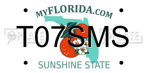 T07SMS Florida License Plate