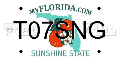T07SNG Florida License Plate