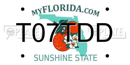 T07TDD Florida License Plate