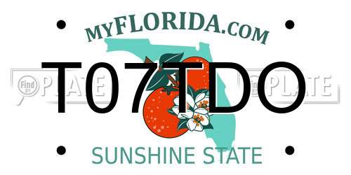 T07TDO Florida License Plate