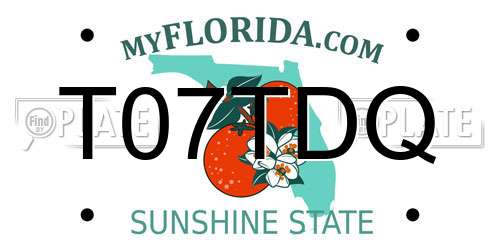 T07TDQ Florida License Plate