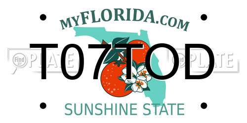T07TOD Florida License Plate