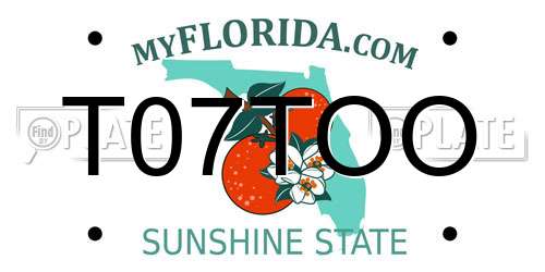 T07TOO Florida License Plate