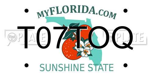 T07TOQ Florida License Plate