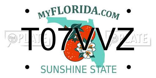 T07VVZ Florida License Plate