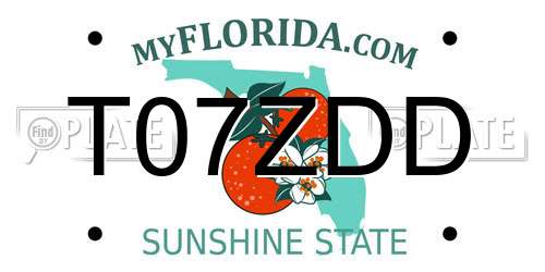 T07ZDD Florida License Plate