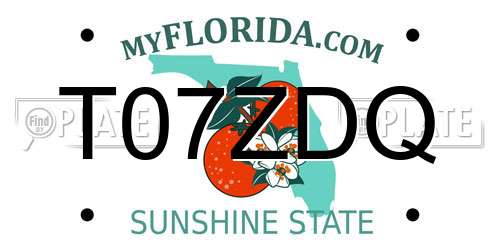 T07ZDQ Florida License Plate