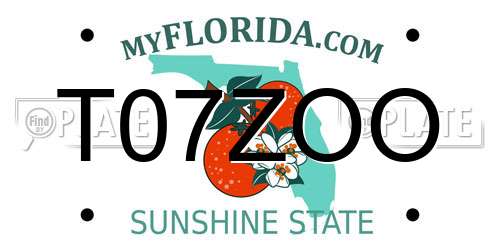 T07ZOO Florida License Plate