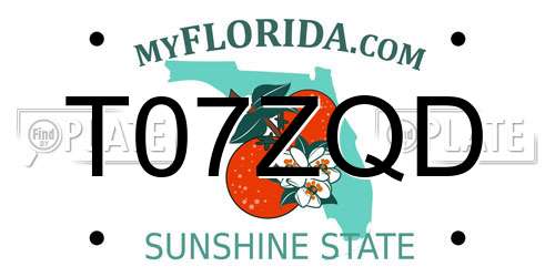 T07ZQD Florida License Plate
