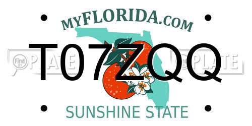 T07ZQQ Florida License Plate